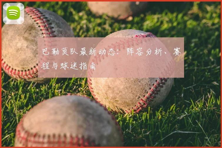 巴勒莫队最新动态：阵容分析、赛程与球迷指南